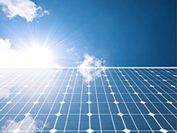 一级特黄AAA大片在线观看