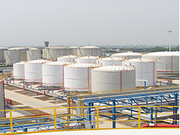 一级特黄AAA大片在线观看