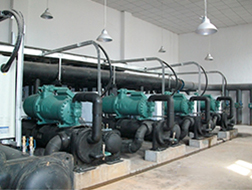 一级特黄AAA大片在线观看