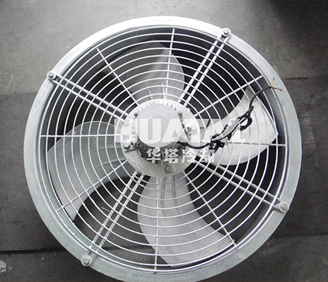 一级特黄AAA大片在线观看