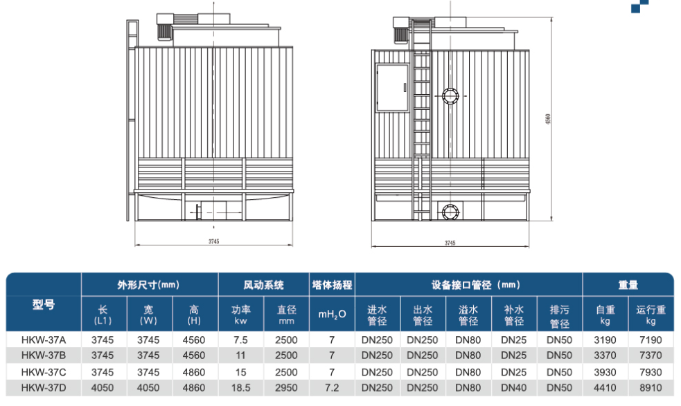 一级特黄AAA大片在线观看