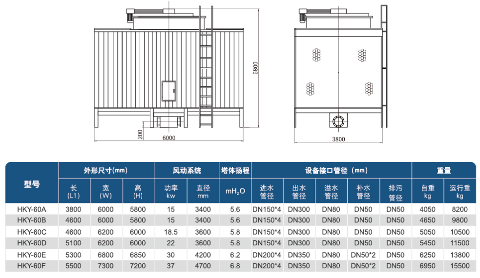 一级特黄AAA大片在线观看