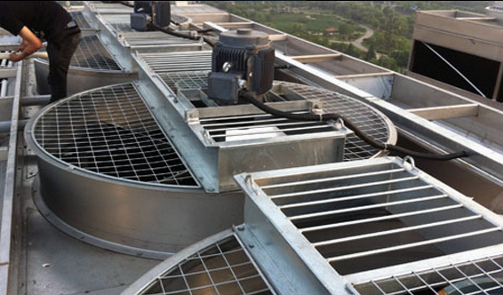 一级特黄AAA大片在线观看