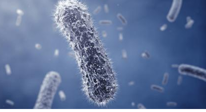 一级特黄AAA大片在线观看