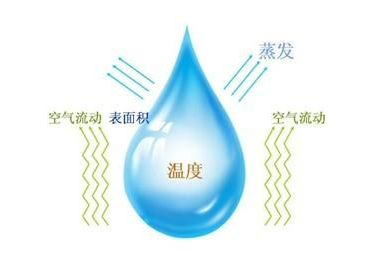 一级特黄AAA大片在线观看