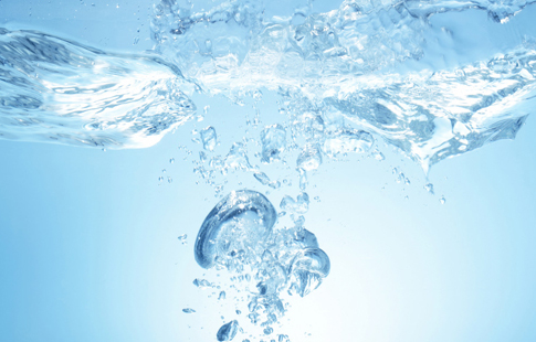 一级特黄AAA大片在线观看