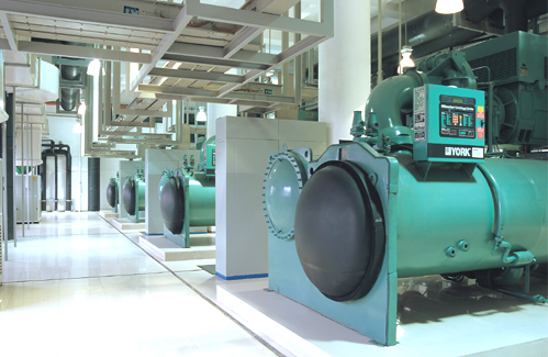 一级特黄AAA大片在线观看