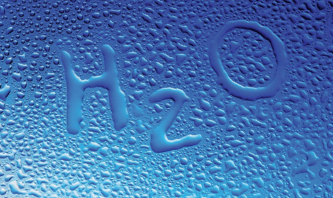 一级特黄AAA大片在线观看