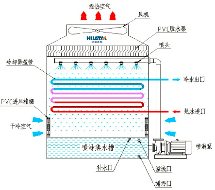 一级特黄AAA大片在线观看