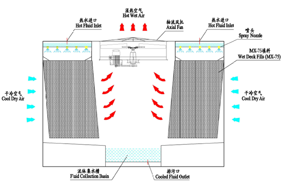一级特黄AAA大片在线观看