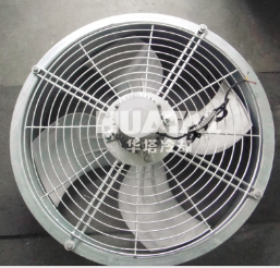 一级特黄AAA大片在线观看