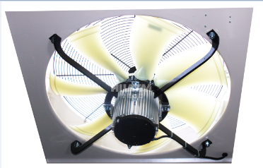 一级特黄AAA大片在线观看