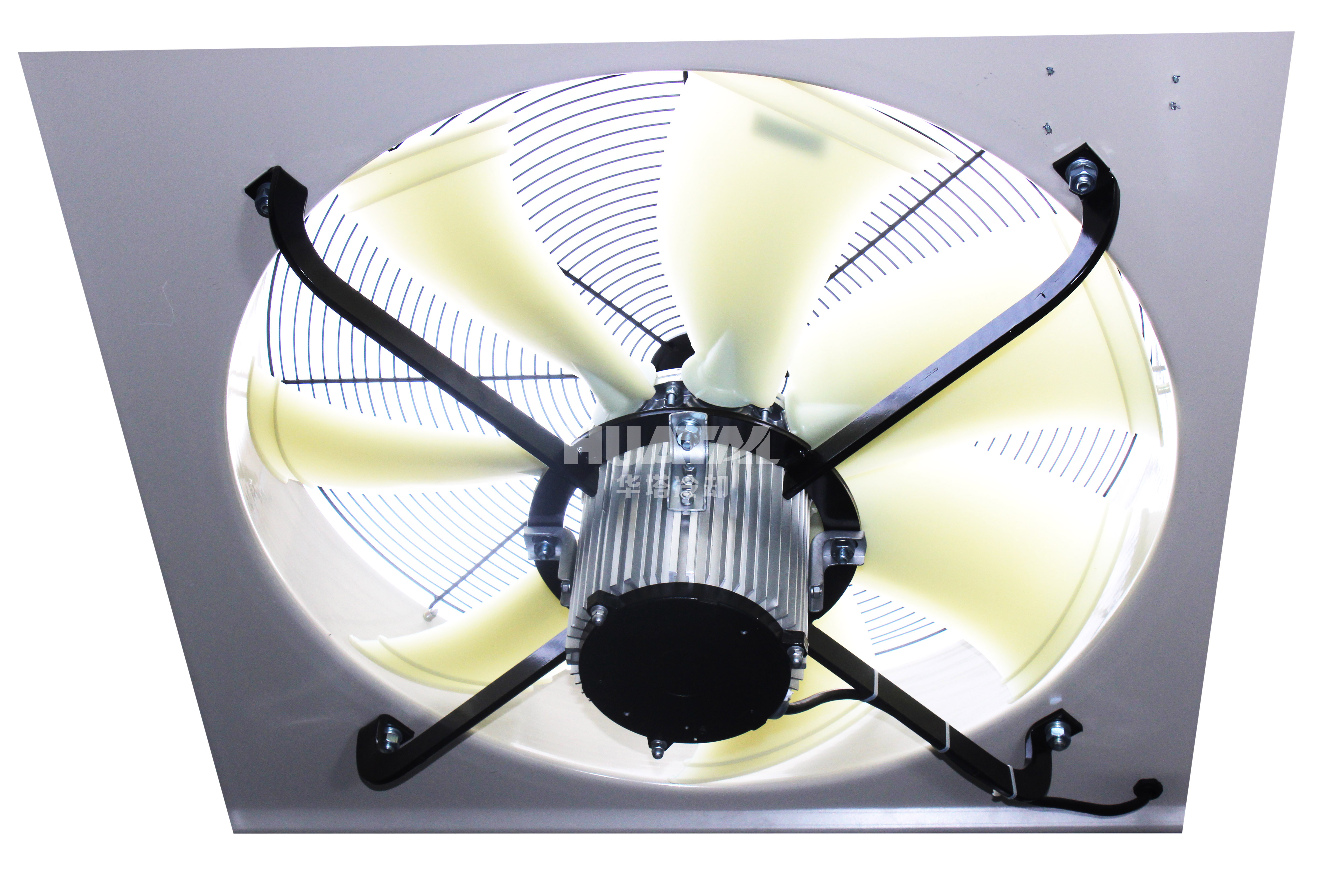 逆流欧美肥婆姓交大片