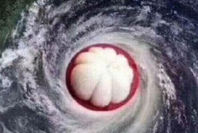 欧美肥婆姓交大片