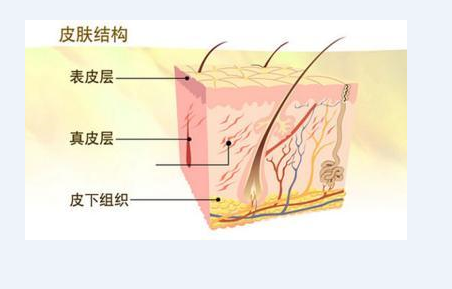 一级特黄AAA大片在线观看