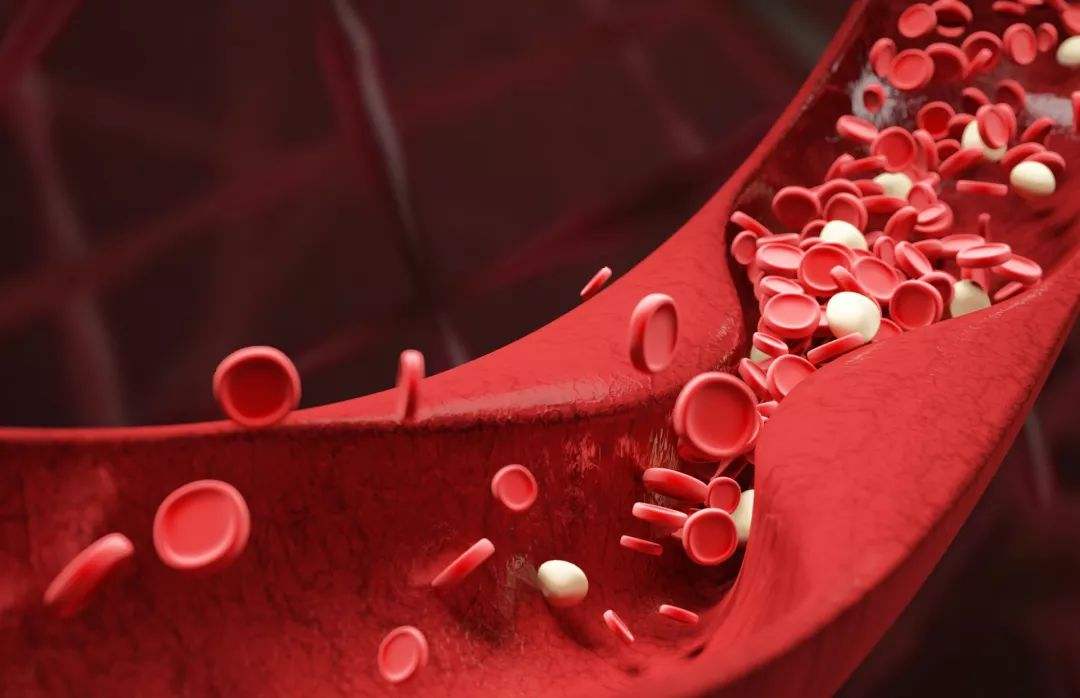 一级特黄AAA大片在线观看