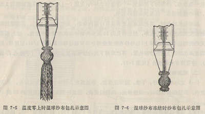 一级特黄AAA大片在线观看