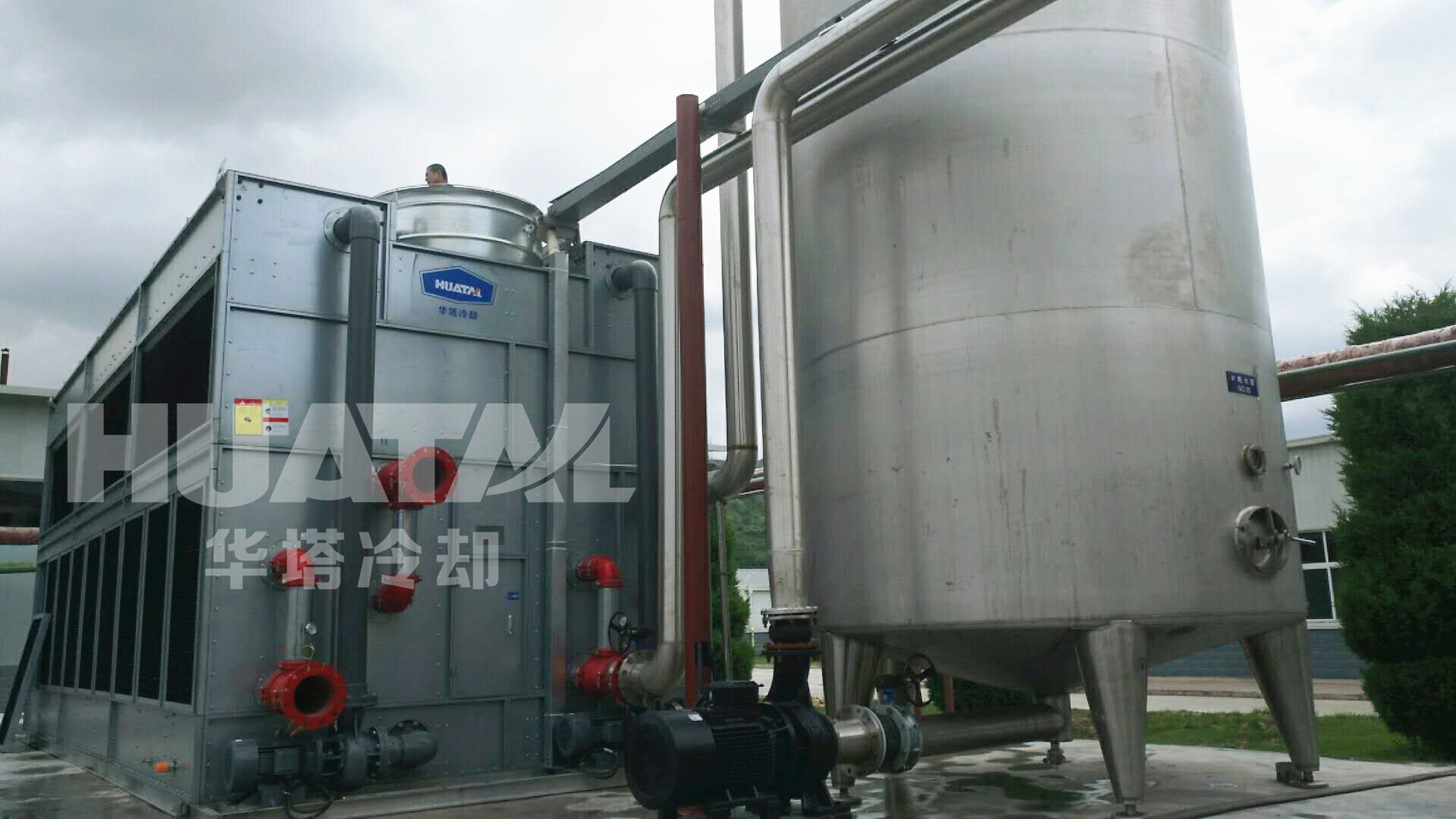 一级特黄AAA大片在线观看