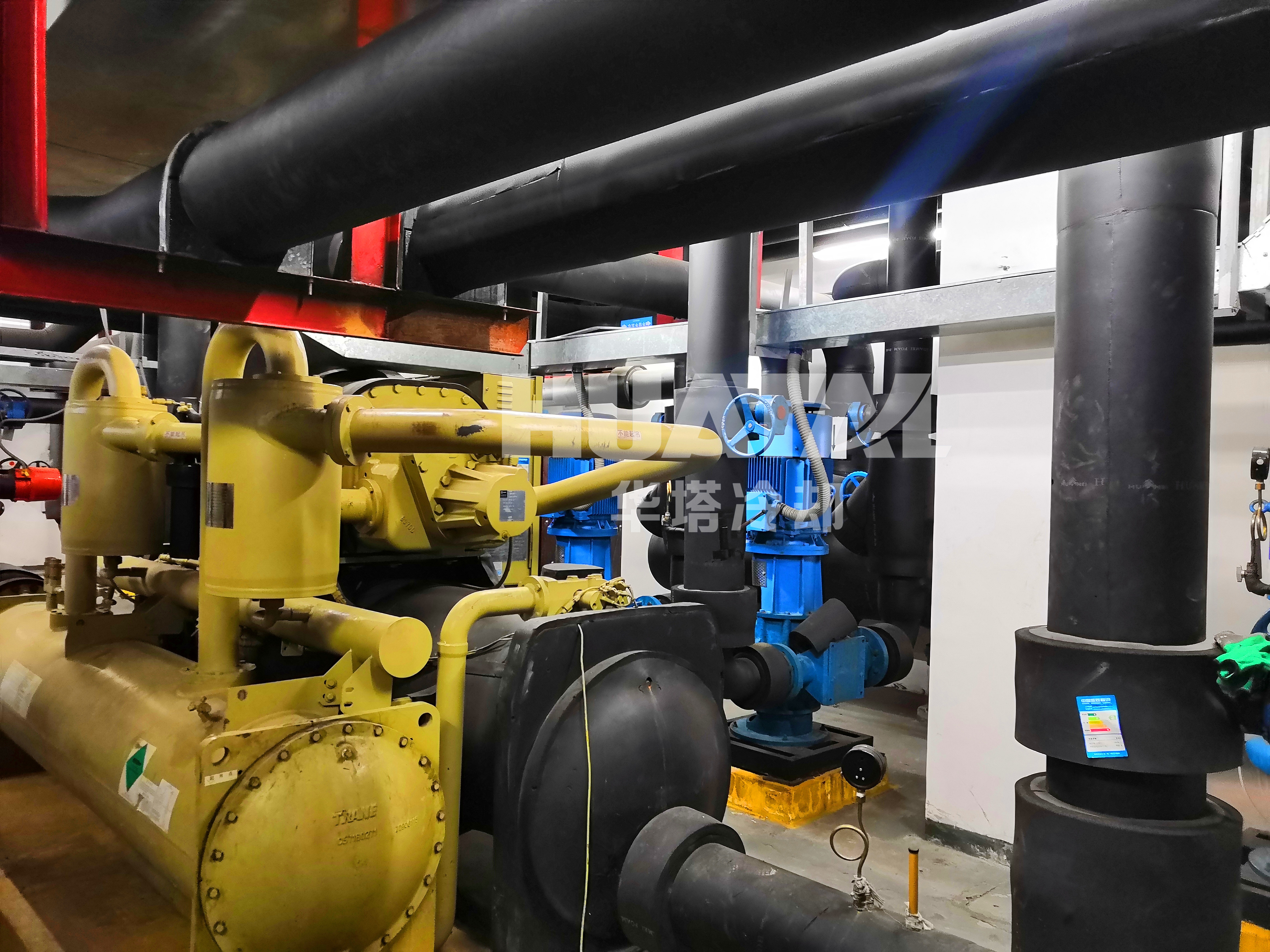 一级特黄AAA大片在线观看