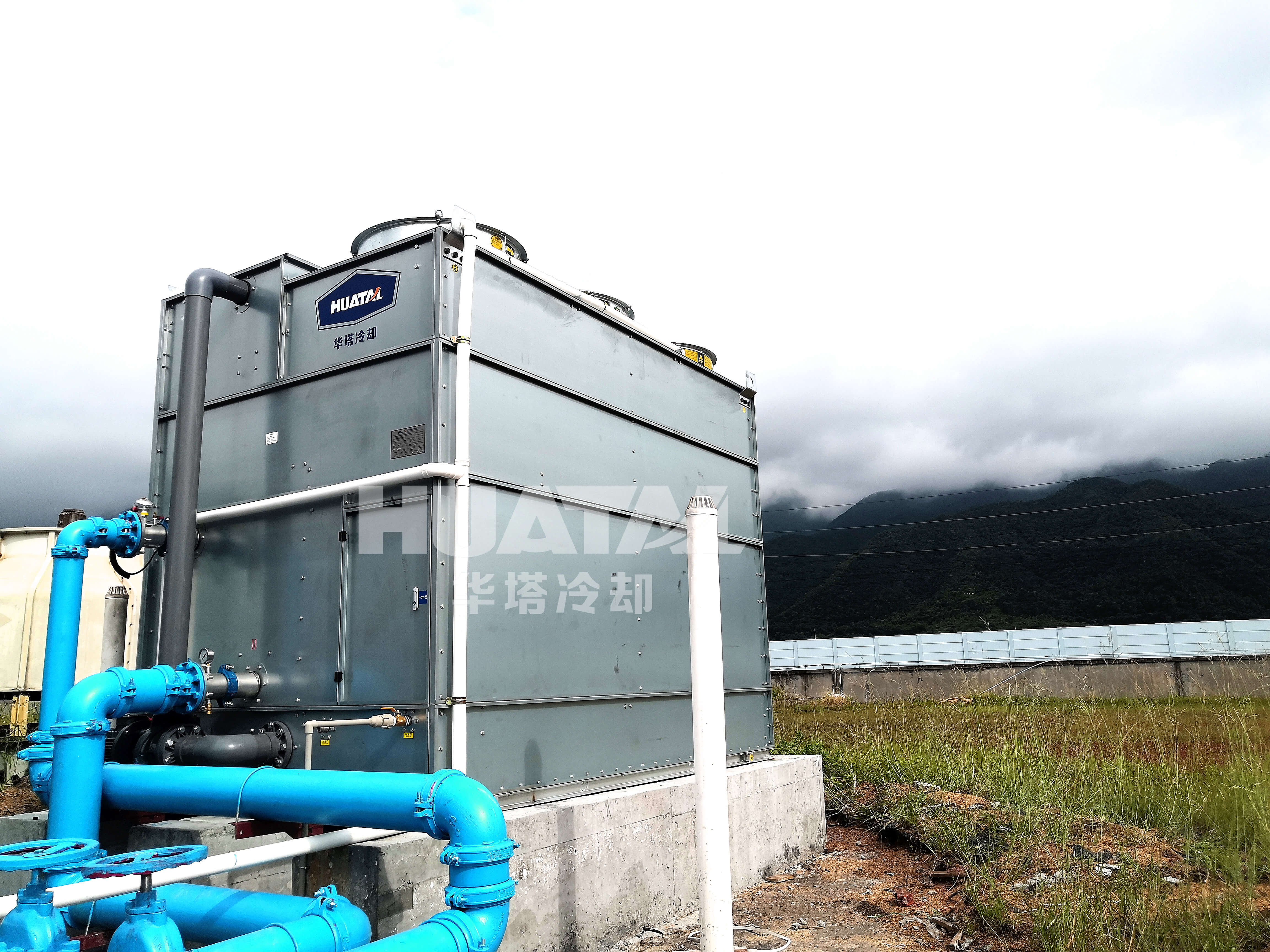 一级特黄AAA大片在线观看