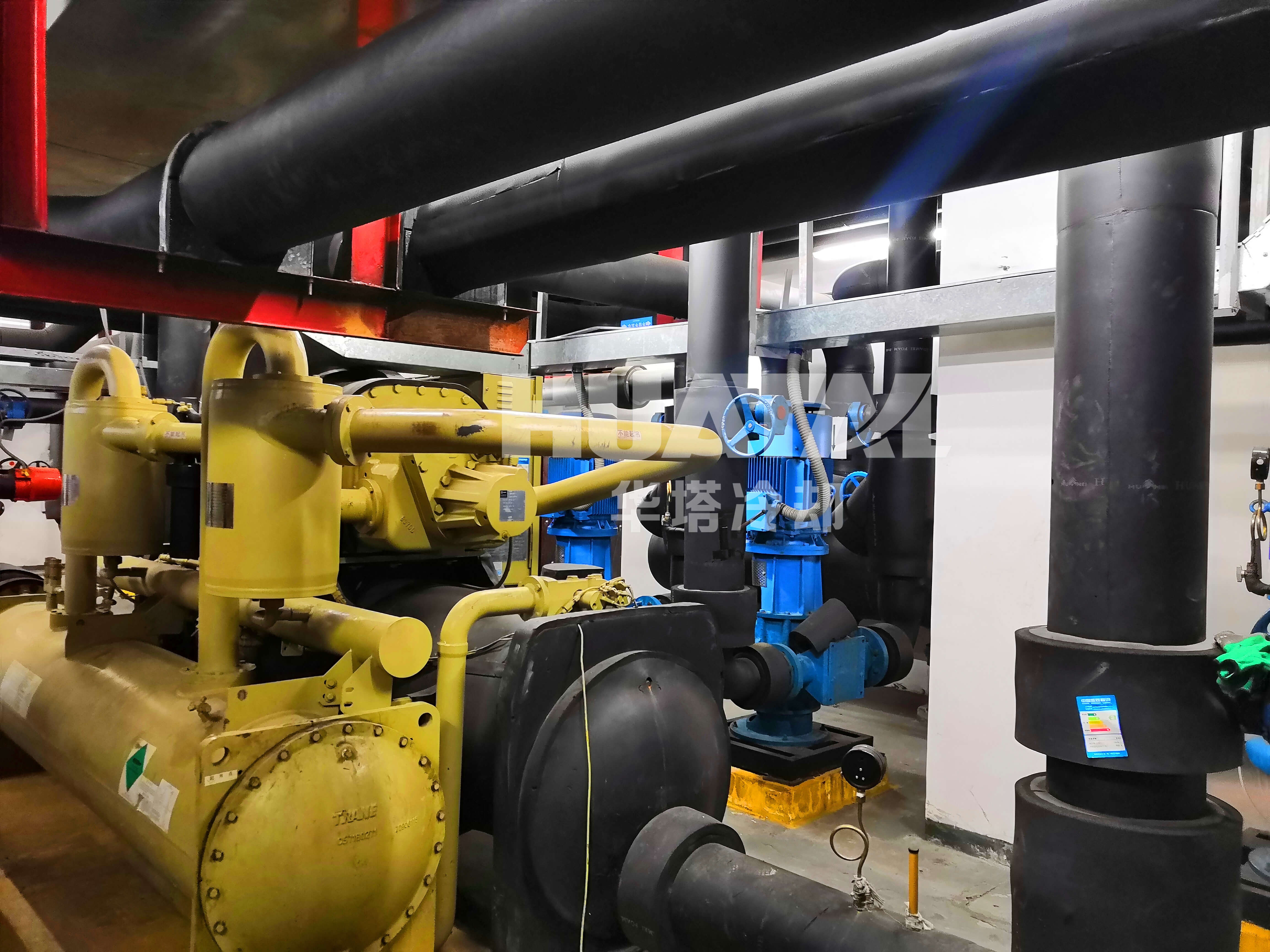 一级特黄AAA大片在线观看