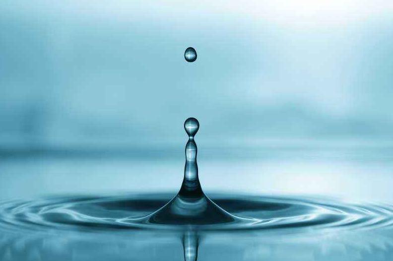 一级特黄AAA大片在线观看