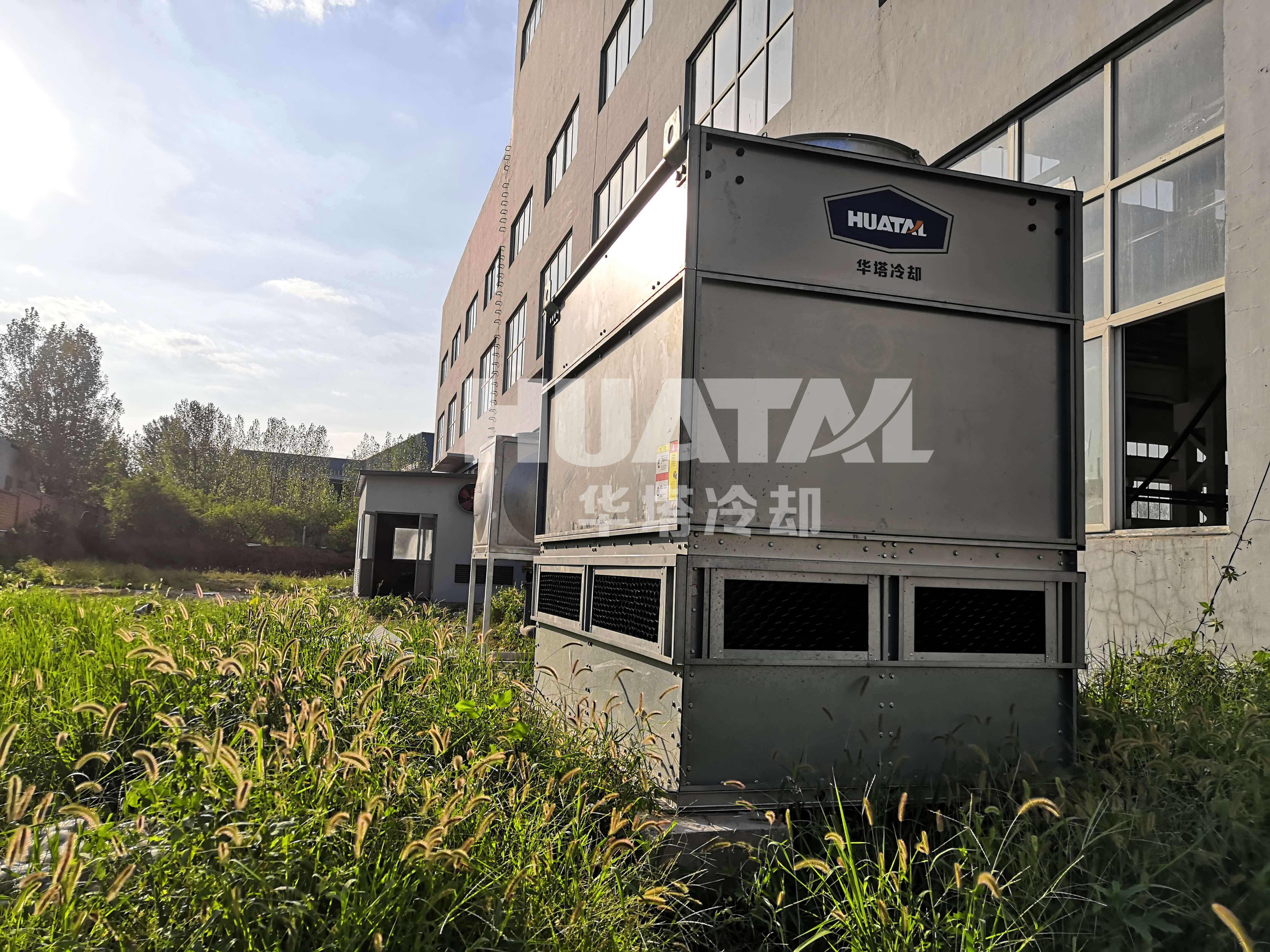 一级特黄AAA大片在线观看