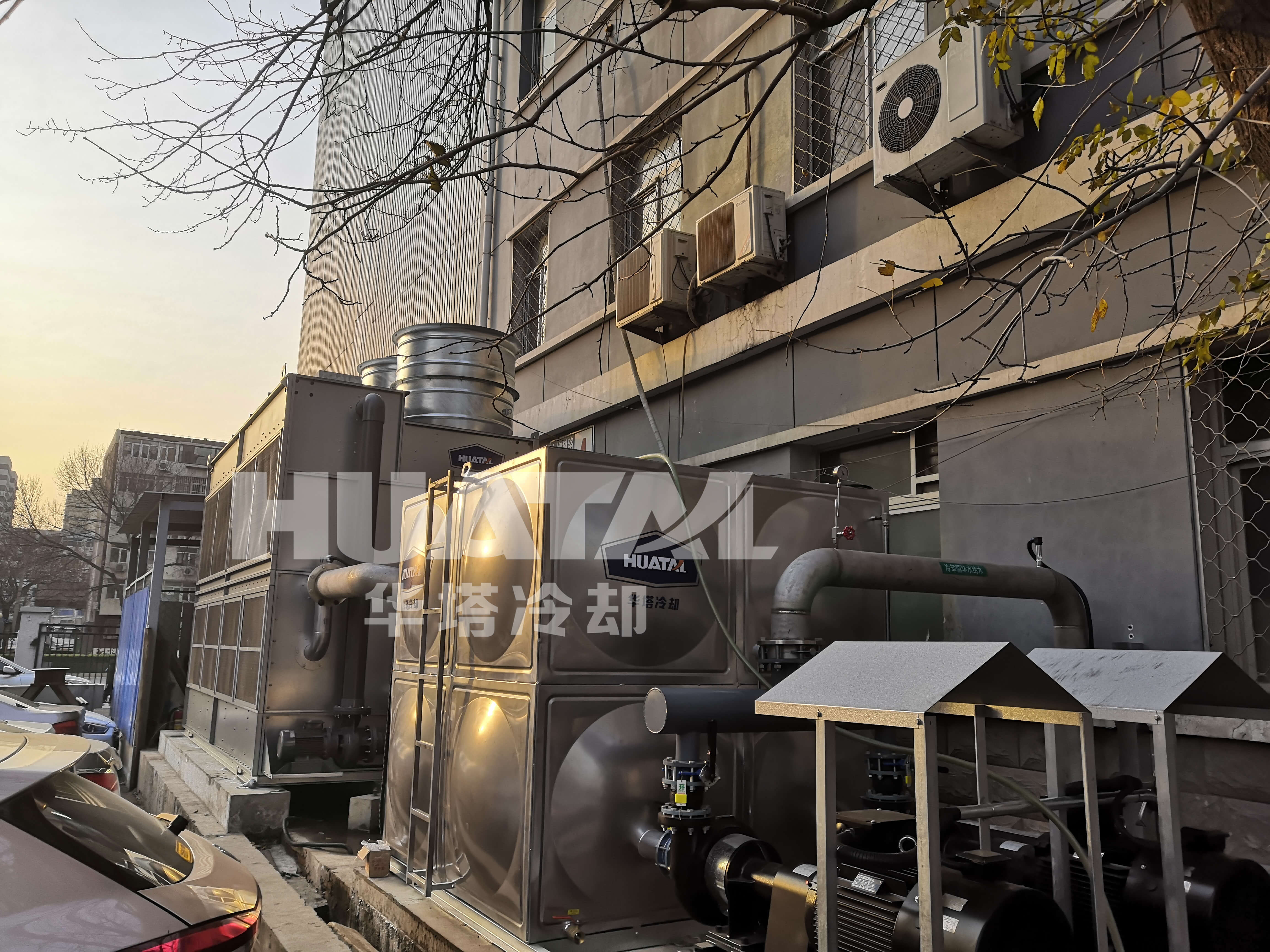 一级特黄AAA大片在线观看