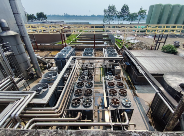 一级特黄AAA大片在线观看