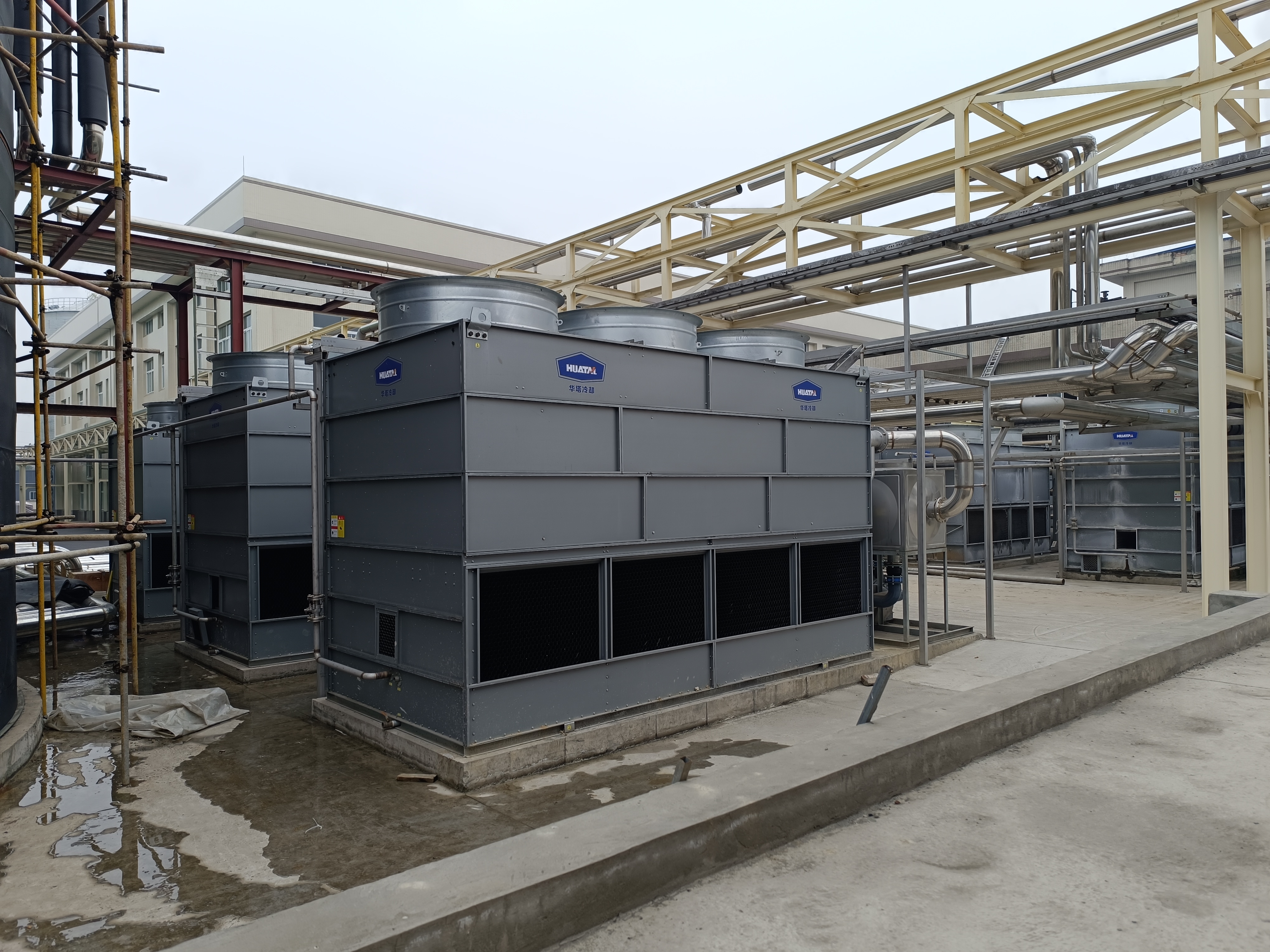 一级特黄AAA大片在线观看