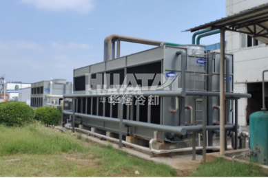 一级特黄AAA大片在线观看