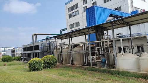 一级特黄AAA大片在线观看