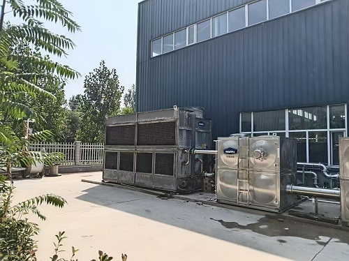 一级特黄AAA大片在线观看