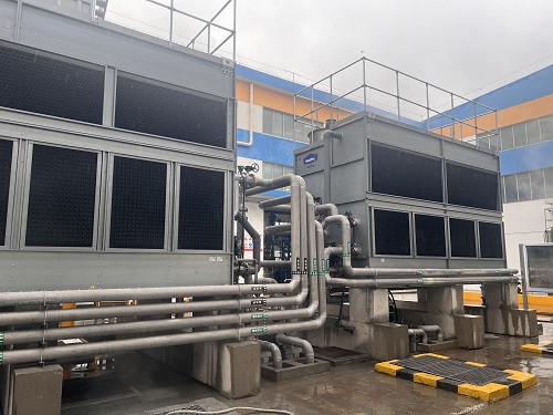 一级特黄AAA大片在线观看