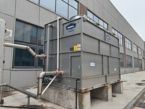 一级特黄AAA大片在线观看